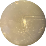 Fix alientech3